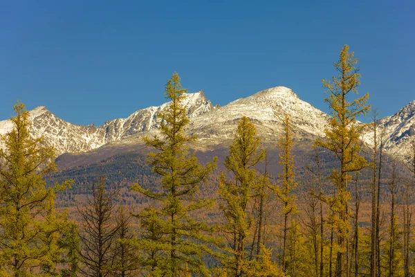 Mountain landscape — Stock Photo, Image