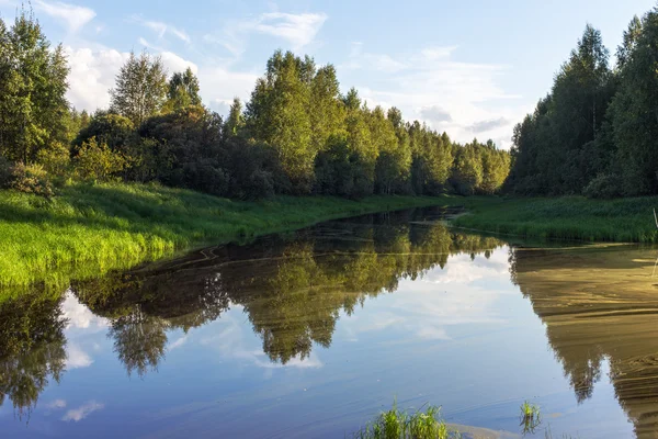 Fiume nel verde — Foto Stock