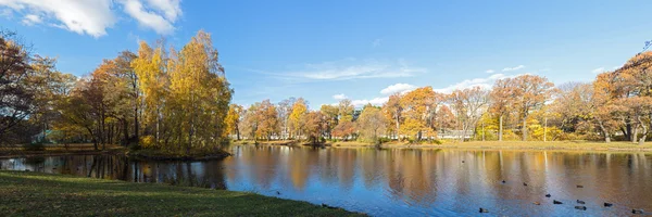 Panorama van herfst park — Stockfoto
