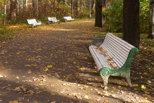 Panchine in un parco — Foto Stock