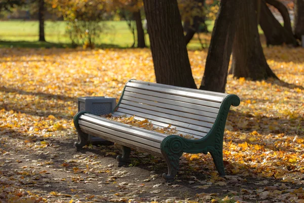 Empty bench — Stock Photo, Image