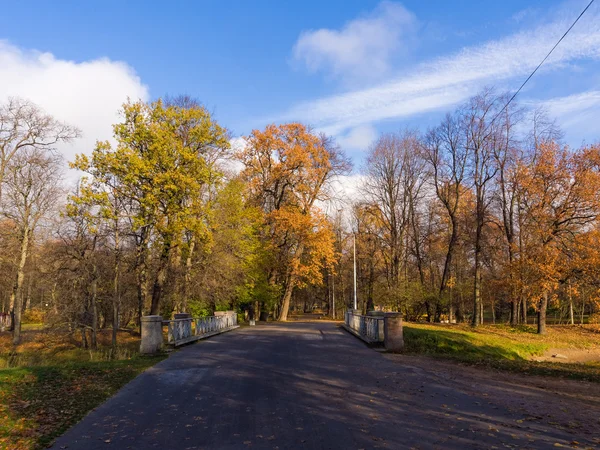 Kleine Brücke im Park — Stockfoto