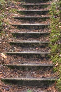 eski merdiven portre