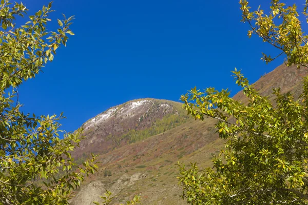 Vista do pico da montanha — Fotografia de Stock