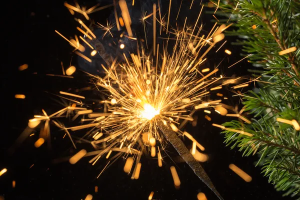 Sparklers and spruce branches — Stock Photo, Image