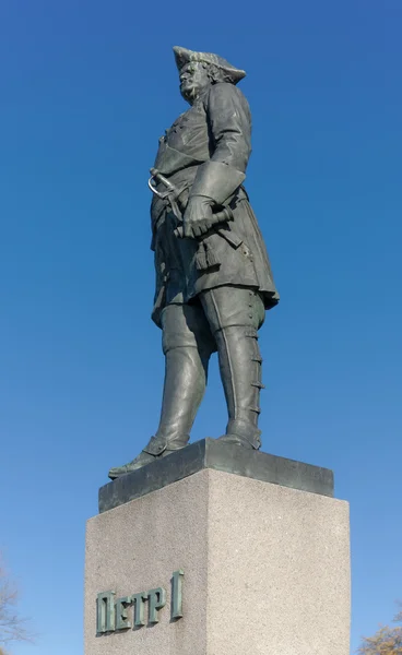 Pomnik cara Piotra — Zdjęcie stockowe