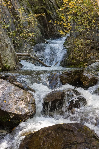 Mountain river among the rocks — Stock Photo, Image