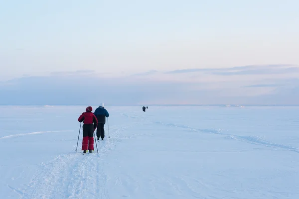 Gå på skidor — Stockfoto