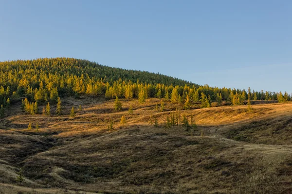 Ochtend landschap — Stockfoto