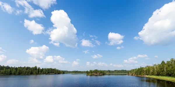 Summer landscape — Stock Photo, Image