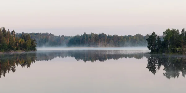 Nevoeiro no lago florestal — Fotografia de Stock