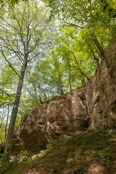 Primavera en las montañas —  Fotos de Stock