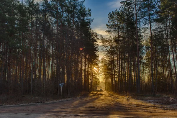 Rural road — Stock Photo, Image