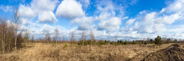 Wczesną wiosną — Zdjęcie stockowe