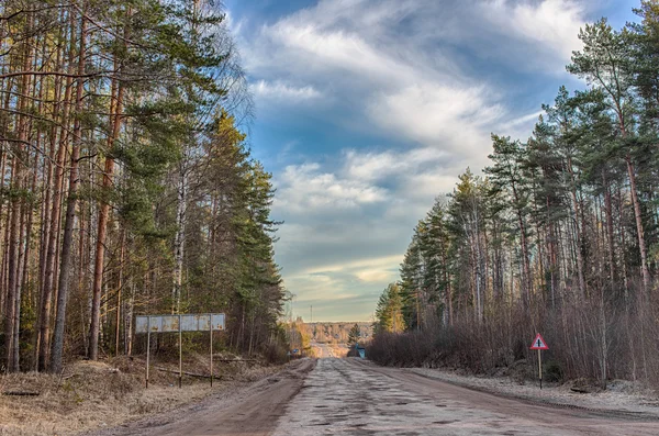 Landelijke weg in het bos — Stockfoto