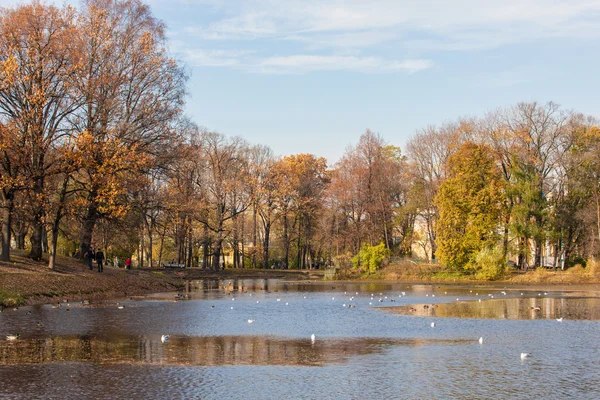 Осень в Таврическом парке — стоковое фото