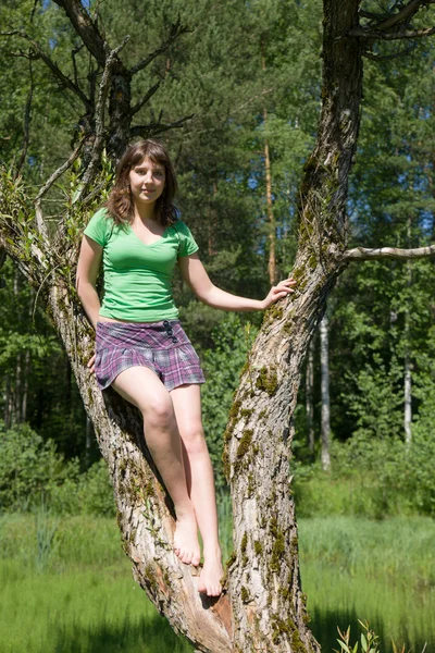 Chica en un árbol — Foto de Stock