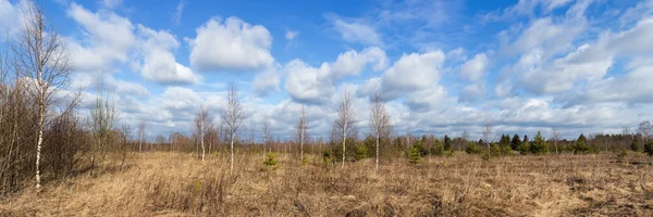 Panorama wiosna — Zdjęcie stockowe