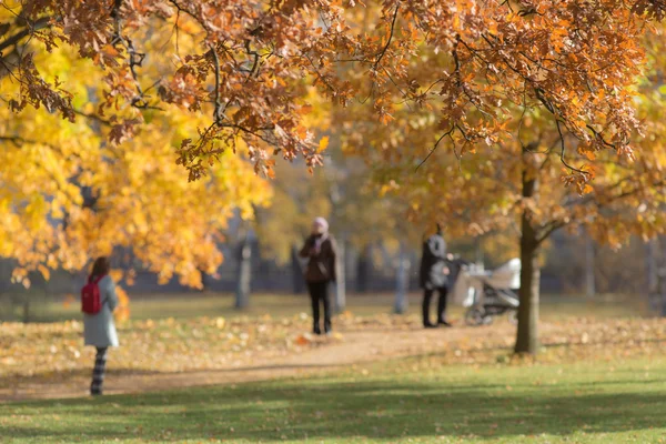 People walking in the autumn park — Stock Photo, Image