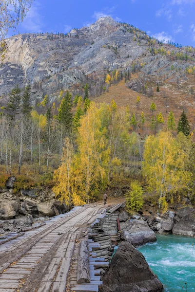 Vecchio ponte di legno — Foto Stock