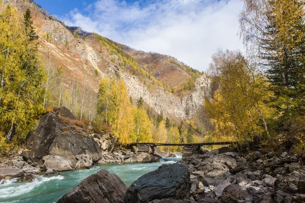 Río de montaña en otoño — Foto de Stock