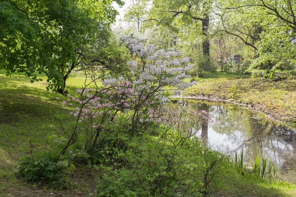 Tavaszi park — Stock Fotó