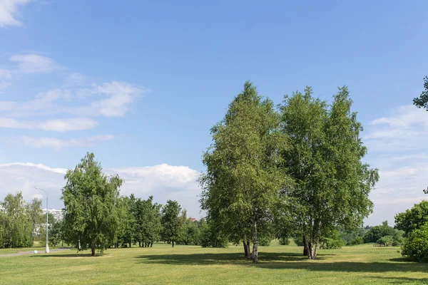 Sommarlandskap — Stockfoto