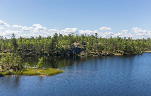 Paesaggio con lago foresta — Foto Stock