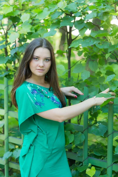 Ragazza vicino alla recinzione — Foto Stock