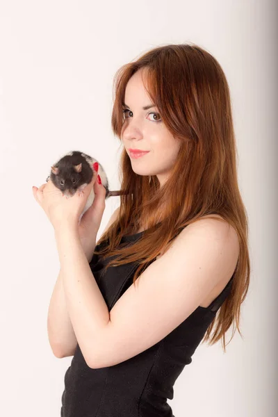Retrato Uma Menina Com Rato Estimação — Fotografia de Stock