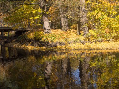 Sonbahar parkında su yansıtmalı manzara