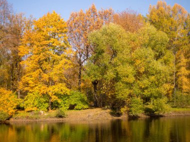 Sonbahar parkında su yansıtmalı manzara