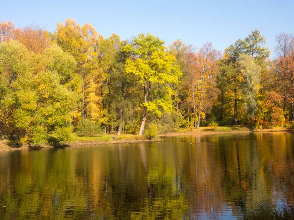 秋天公园的水景 — 图库照片
