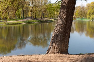 Güneşli bir bahar gününde parktaki manzara