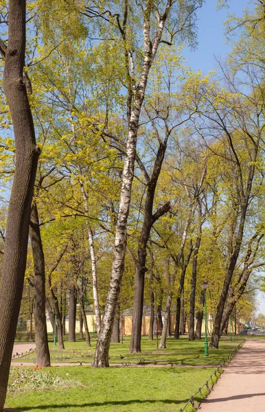 春天阳光灿烂的日子里公园里的风景 — 图库照片