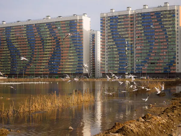 新しい建物の間の泉の貯水池にあるカモメの群れ — ストック写真