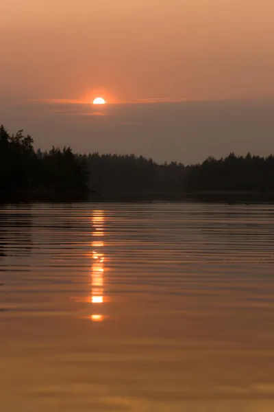 Sol Reflejo Agua Lago Forestal —  Fotos de Stock
