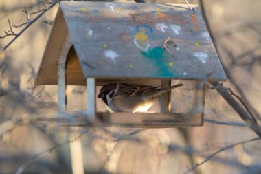 Ağacın üzerinde tahta bir yem serçesi.