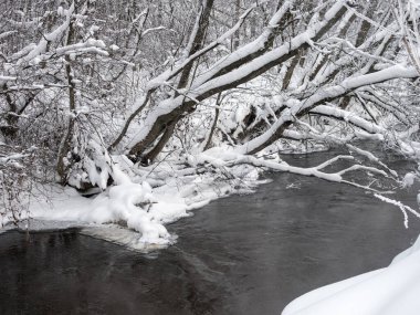 Karlı kıyıları olan bir nehir manzarası