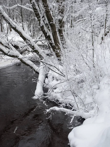 Paysage Avec Une Rivière Avec Des Berges Enneigées — Photo