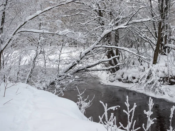 Landschaft Mit Einem Fluss Mit Verschneiten Ufern — Stockfoto