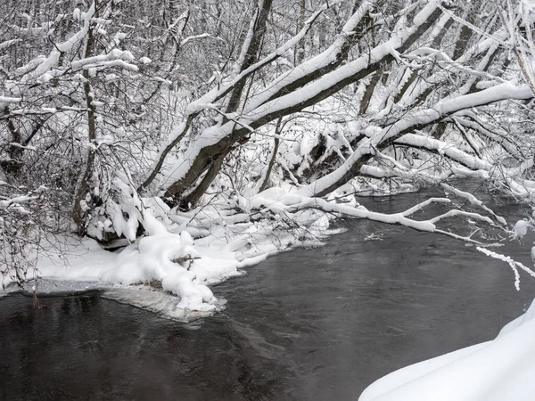 Landschaft Mit Einem Fluss Mit Verschneiten Ufern — Stockfoto