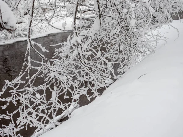 Landscape Trees Snow Winter — Stock Photo, Image