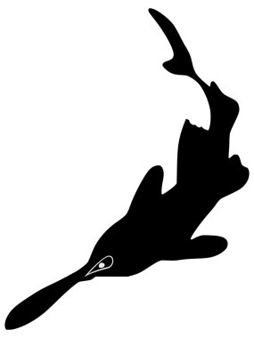Download Paddlefish Free Vector Eps Cdr Ai Svg Vector Illustration Graphic Art