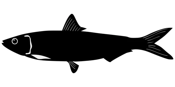 Silhouette des Fisches — Stockvektor