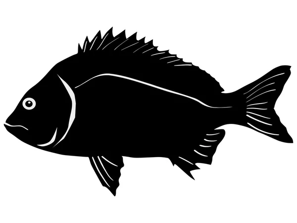 Silhouette des Fisches — Stockvektor