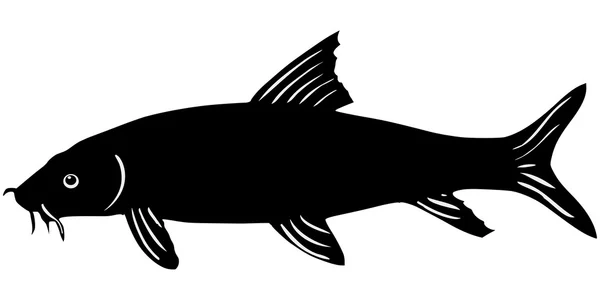 Silhouette of fish — Stock Vector