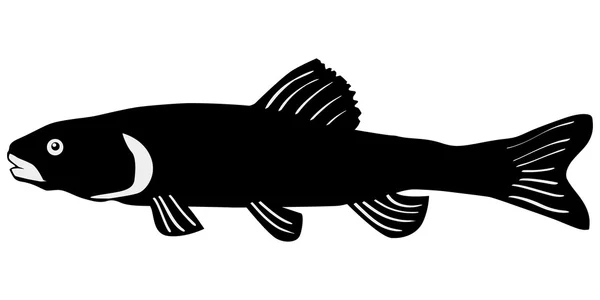 Silueta de tench — Vector de stoc