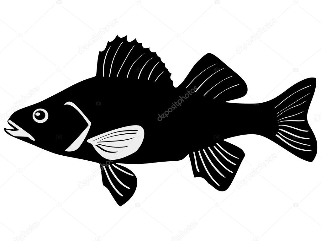 Silhuett av fisk — stockvektor av ©Perysty 13697842, image size:1024x768