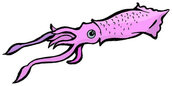 Illustration des Tintenfisches — Stockvektor